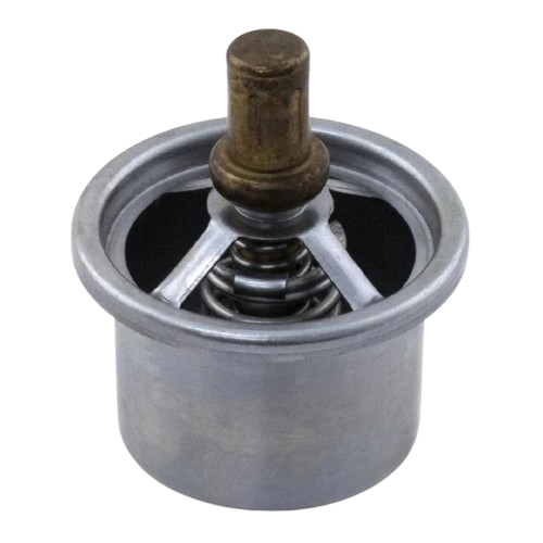 TERMOSTATO MOTOR BIG CAM 350